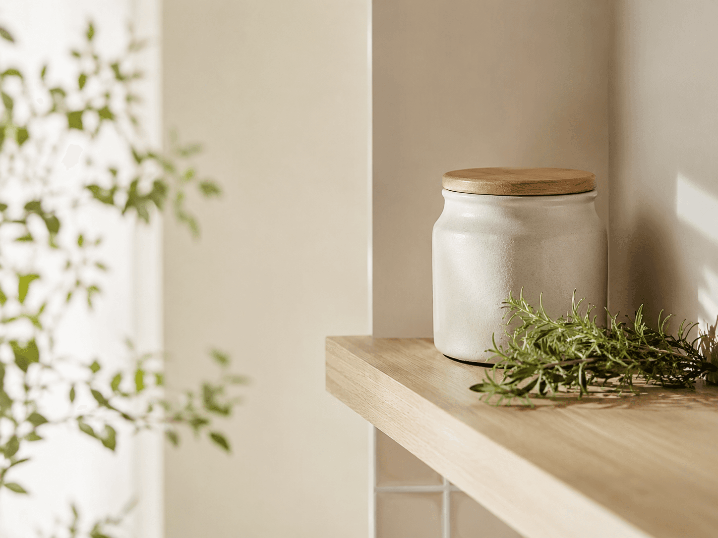 A tidy kitchen shelf corner with a canister and herbs